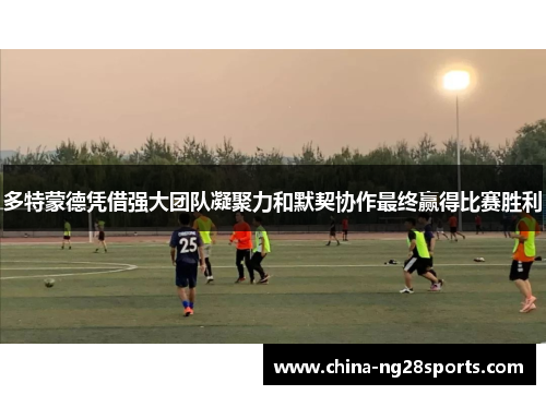 多特蒙德凭借强大团队凝聚力和默契协作最终赢得比赛胜利