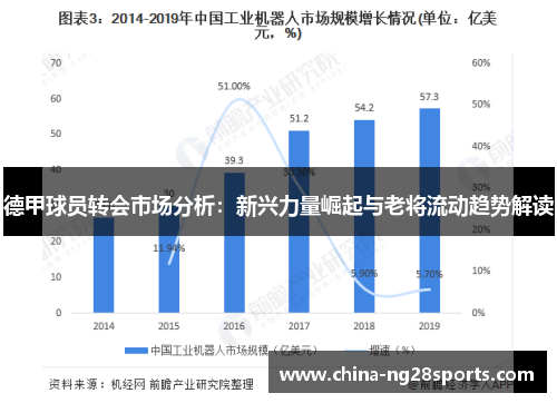 德甲球员转会市场分析：新兴力量崛起与老将流动趋势解读