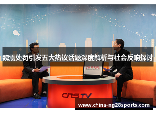 魏震处罚引发五大热议话题深度解析与社会反响探讨
