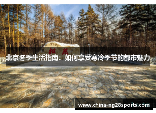北京冬季生活指南：如何享受寒冷季节的都市魅力